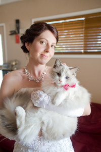 The Bride & The Tiger The Bride & The Tiger